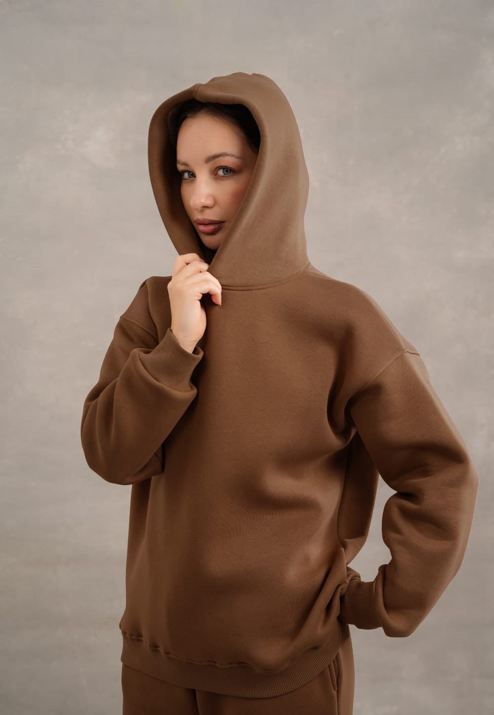 Basic Fleece Hoodie In Brown
